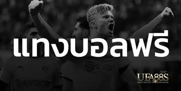 เว็บแทงบอลน่าเชื่อถือ